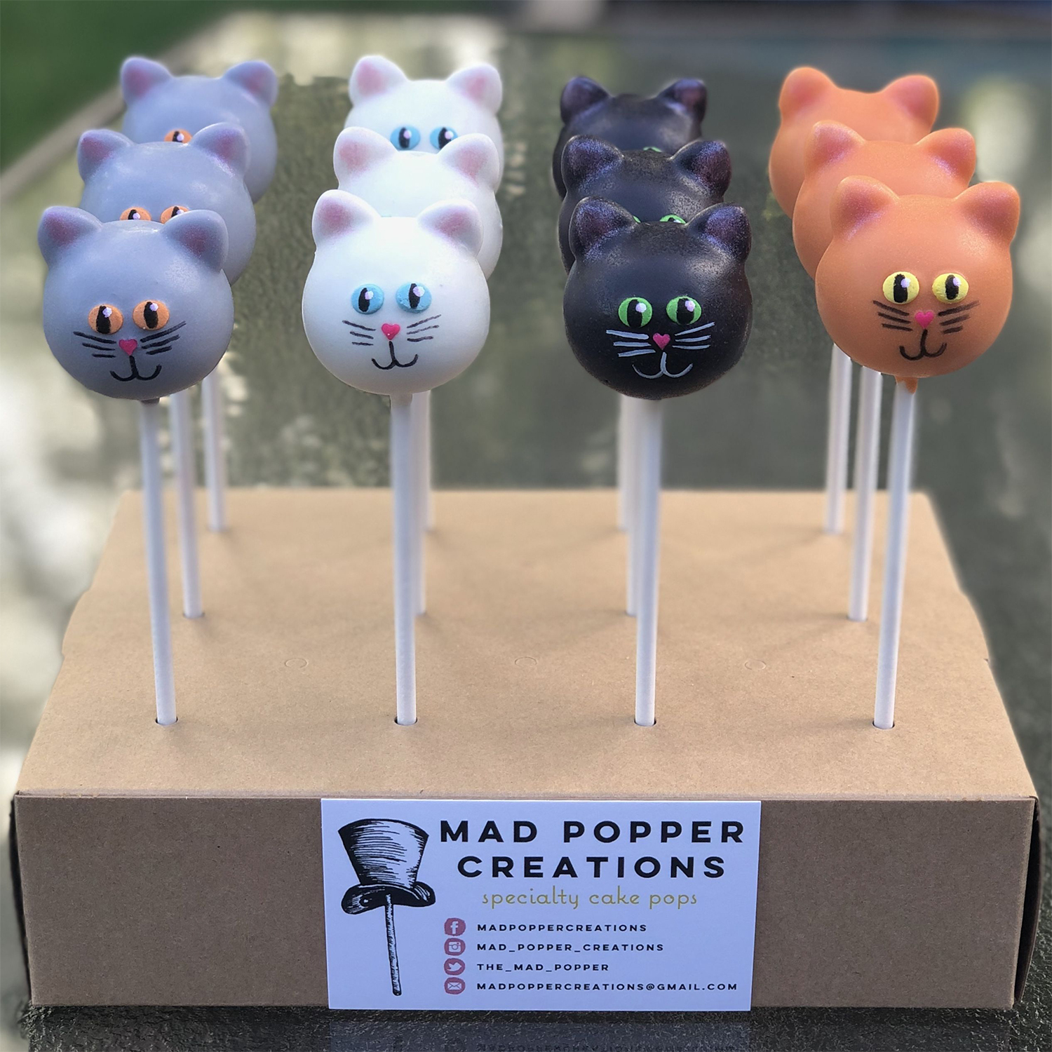 Four rows of cat-themed cake pops in a cake pop stand